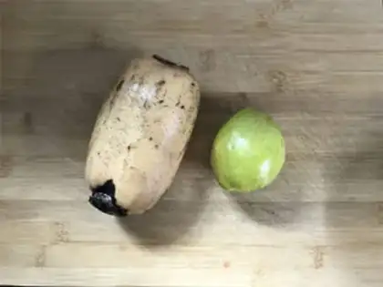 Make Lotus Pear Juice step 0