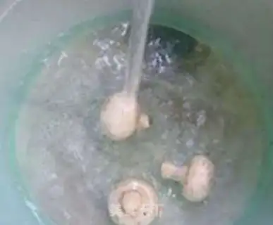 Make Beefballs, mushrooms and oil step 2