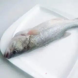 Make Vacuate herring step 0