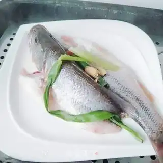 Make Vacuate herring step 4