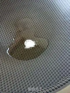 Make Fried garlic paste spinach step 7