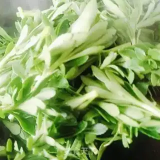 Make Clean up the cabbage step 3