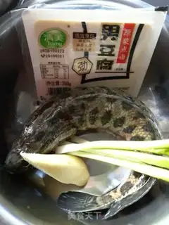 Make Black fish tofu soup step 0