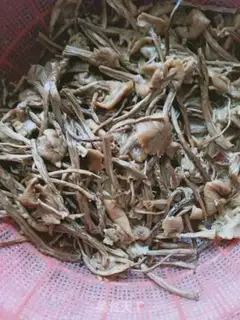 Make Tea mushroom fried meat step 1