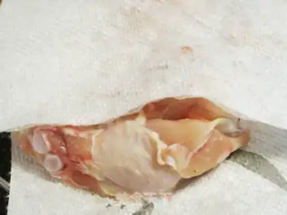 Make The saline chicken wings step 1