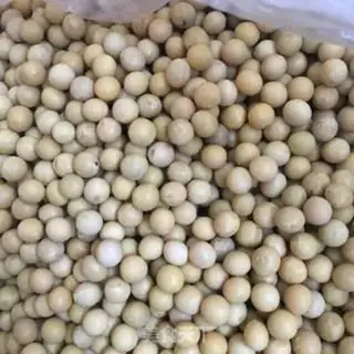Make Eagle bean soybean step 0
