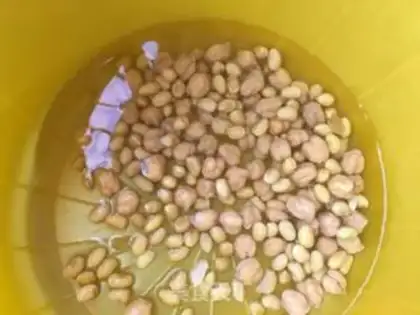 Make Eagle bean soybean step 2