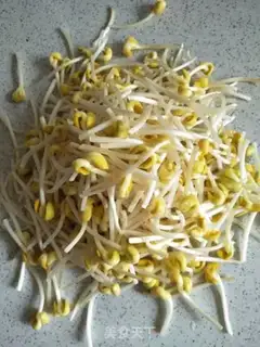 Make Soybeans sprouts step 4