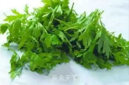 Make Save Algae step 1