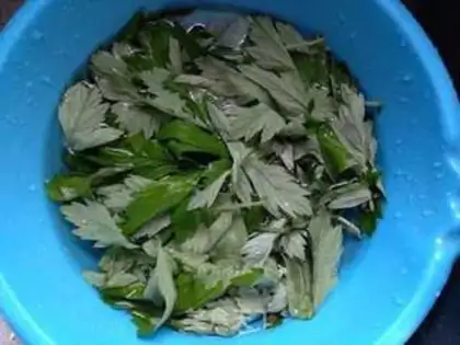 Make Save Algae step 2