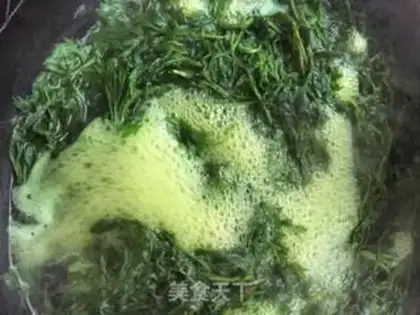 Make Save Algae step 3