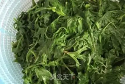 Make Save Algae step 4