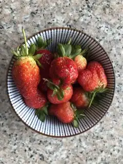 Make Strawberry yogurt step 17