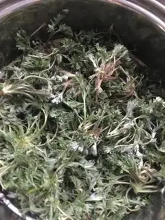 Make Yin-chun rice step 1