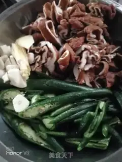 Make Pepper halogenated intestines step 0