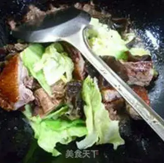 Make Black-mucked duck step 6