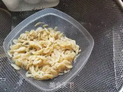 Make Let