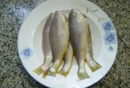 Make The yellowfish step 1