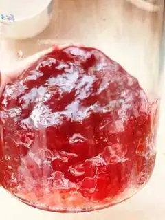 Make Homemade without adding strawberry sauce step 2