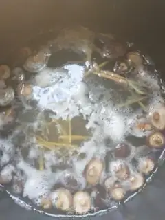 Make Swimmy mushroom soup step 3