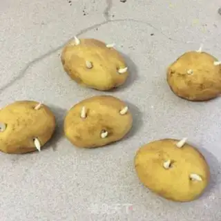 Make Simulate potato buns step 13