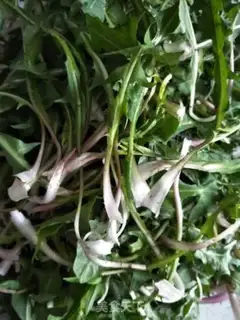 Make ♪ Tofu ♪ step 1