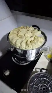 Make Pork dumplings step 6
