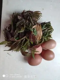 Make Wild fragrance fried eggs step 0