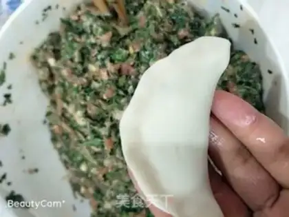 Make The dumplings step 6