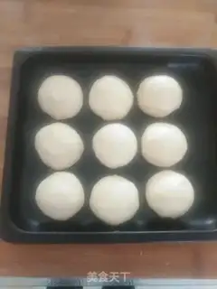 Make Apricot yogurt step 2