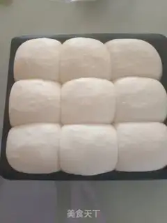 Make Apricot yogurt step 3