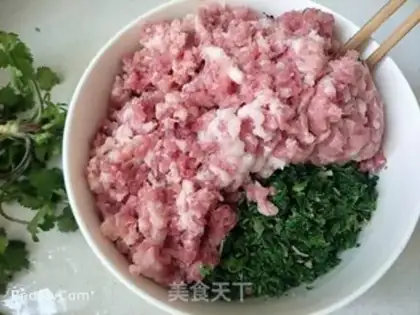 Make The dumplings step 2