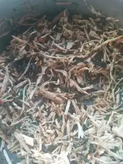Make Homemade meat pine step 5