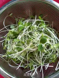 Make The fragrance sprouts step 0