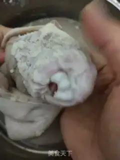 Make Squirty step 14