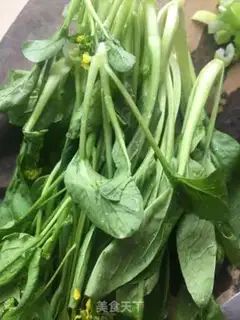 Make Soup from the veggies step 0