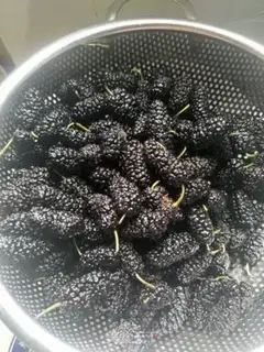 Make Sancho jam step 1