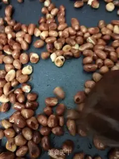 Make Little oiled peanut rice step 2