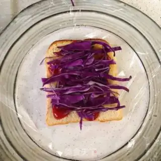Make Vegetable sandwich step 8