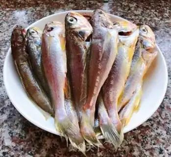 Make The family yellowfish step 0