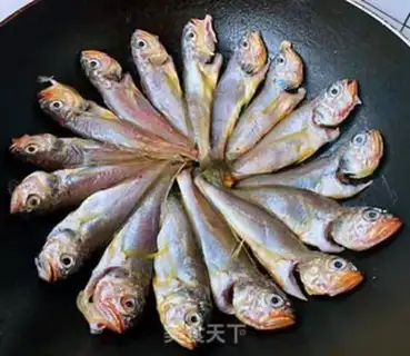 Make The family yellowfish step 4