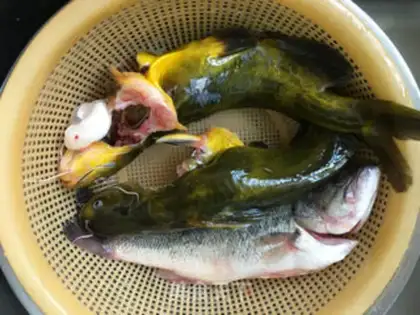 Make Duck tofu mackerel step 0