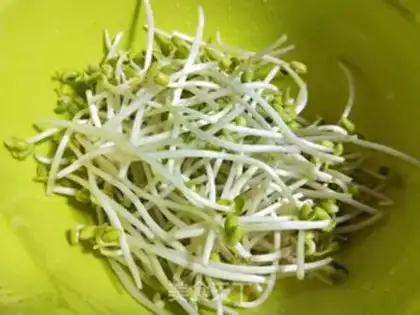 Make Pelican soybean sprouts step 0