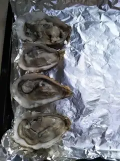 Make Grinded oysters step 5