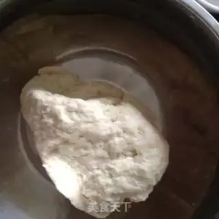 Make The dumplings step 0