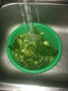 Make The greens, the wood step 0