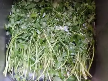 Make Celery step 0