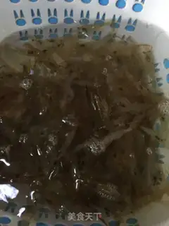Make Shrimp step 0
