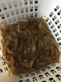 Make Shrimp step 4
