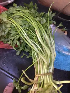 Make Wild celery step 0
